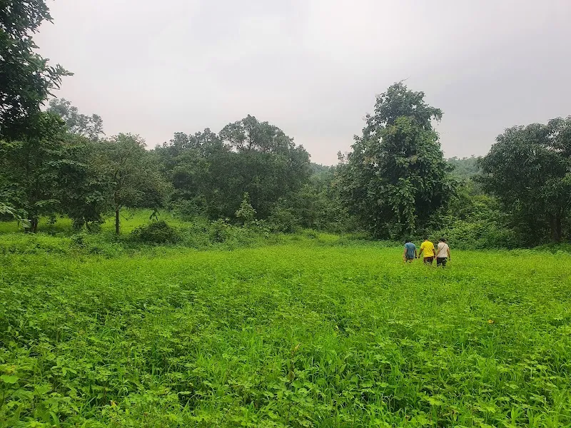 Earthian Art Foundation Palu Murbad
