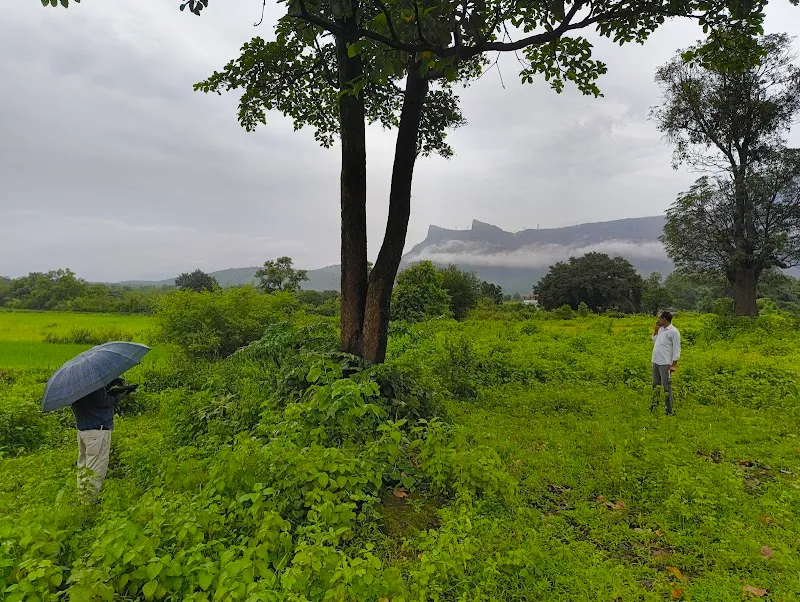Earthian Art Foundation Palu Murbad
