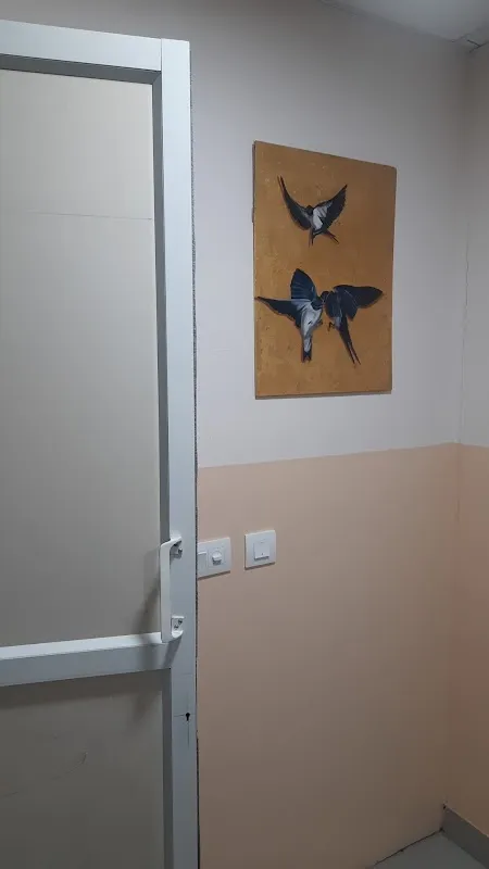 D'Artism Art Studio Mansarovar