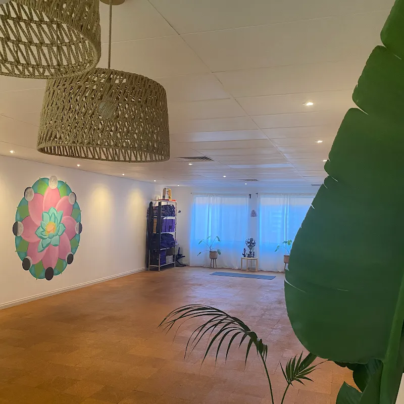 Bloom Yoga