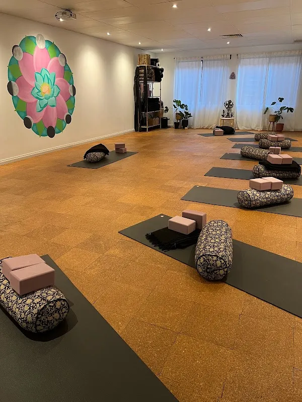 Bloom Yoga