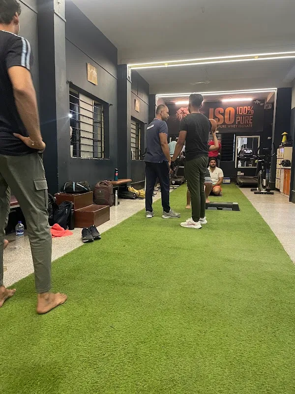 Bodyline Gym