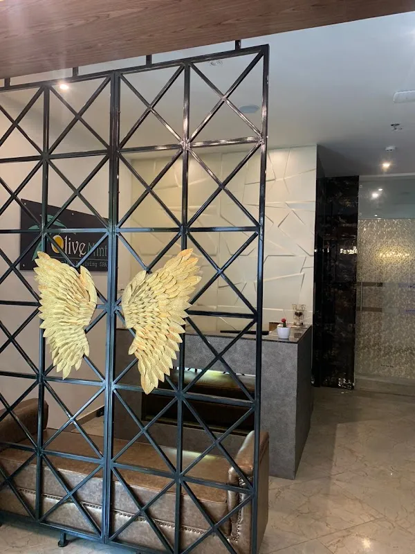 Olive Mint Spa