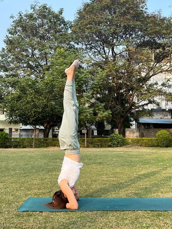 The Yoga House : By Disha