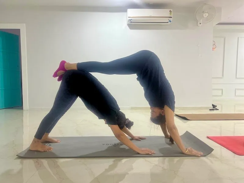 The Yoga House : By Disha