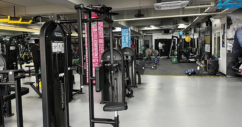 Cult Gym Moti Nagar | Best Gym in Moti Nagar, Delhi