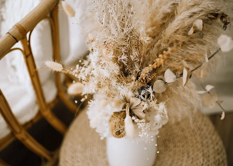 Kristielle Amy Studios | Newborn, Maternity & Family Photographer - Bundaberg
