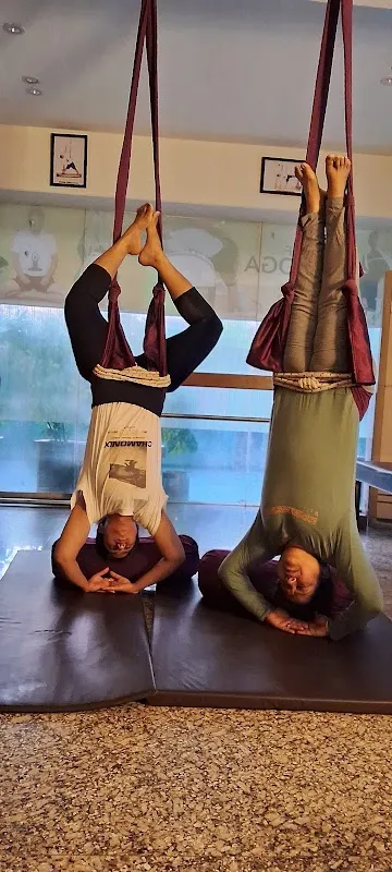 Live With Yoga (Therapeutic Yoga Center)