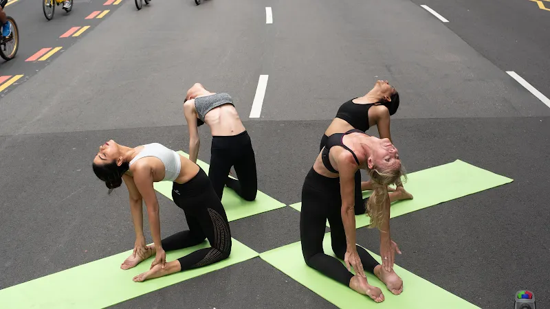 Mind Body Symphony - Yoga & Meditation