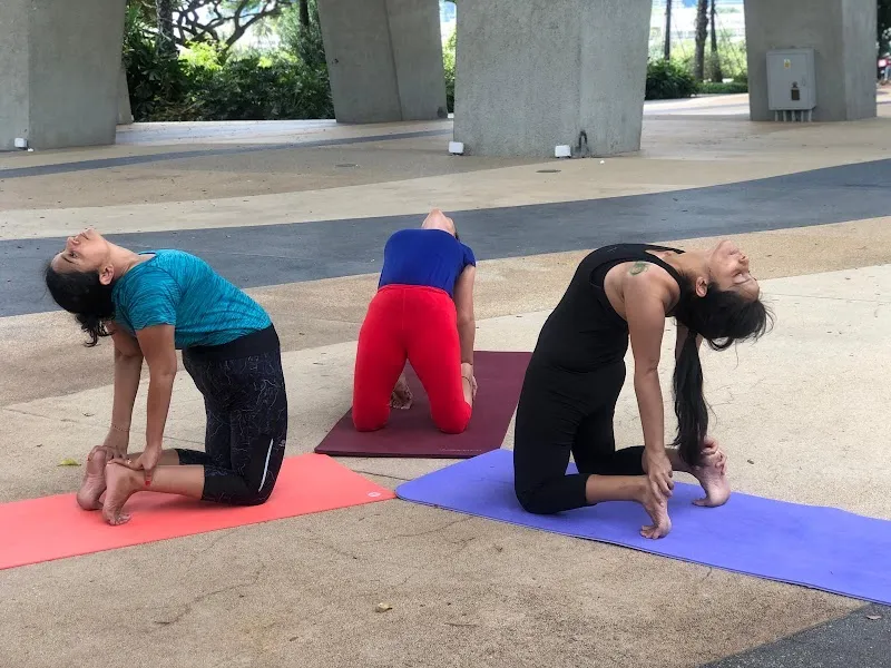 Mind Body Symphony - Yoga & Meditation