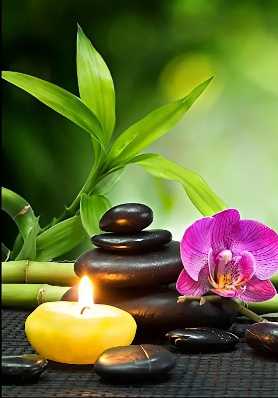 Love Beauty Saloon & Spa