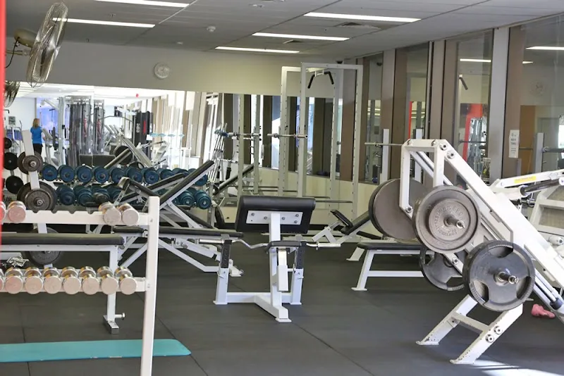Iron Paradise Gym & Fitness Centre