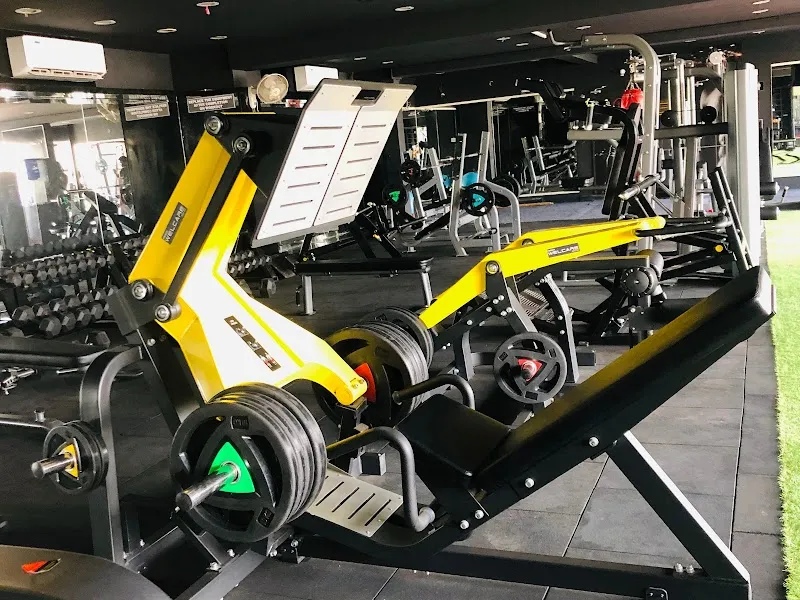Raww Fitness Vzm