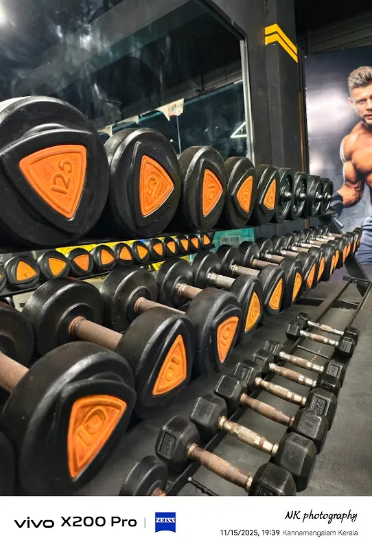 New koyas fit land gym