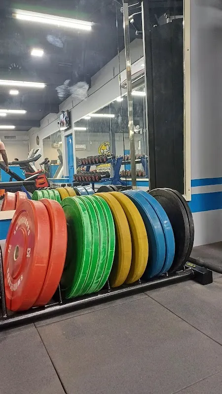 LIVING FITNESS