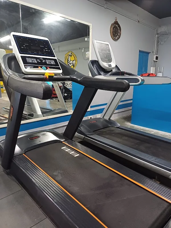 LIVING FITNESS