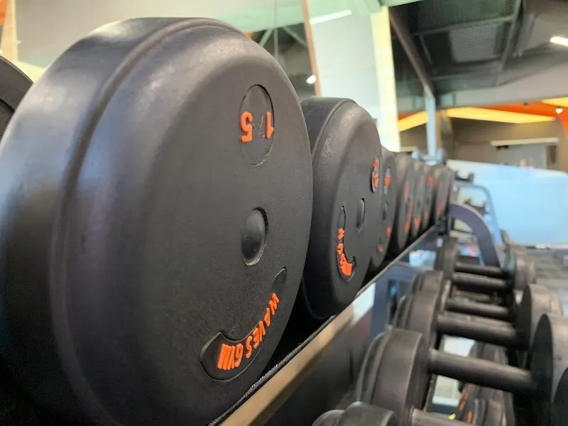 Waves Gym