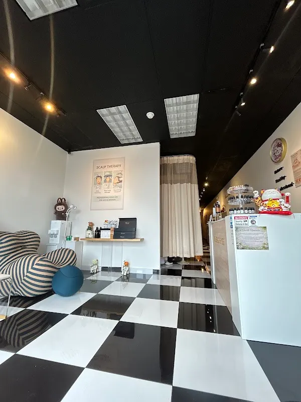 THE HEAD SPACE SCALP SPA