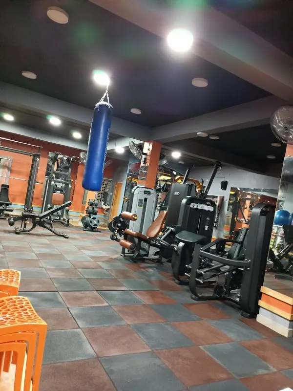 Wilson Gym 2