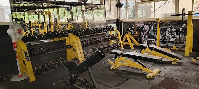 Fitness Studio Unisex