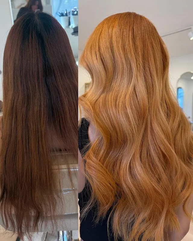 Palms Salon