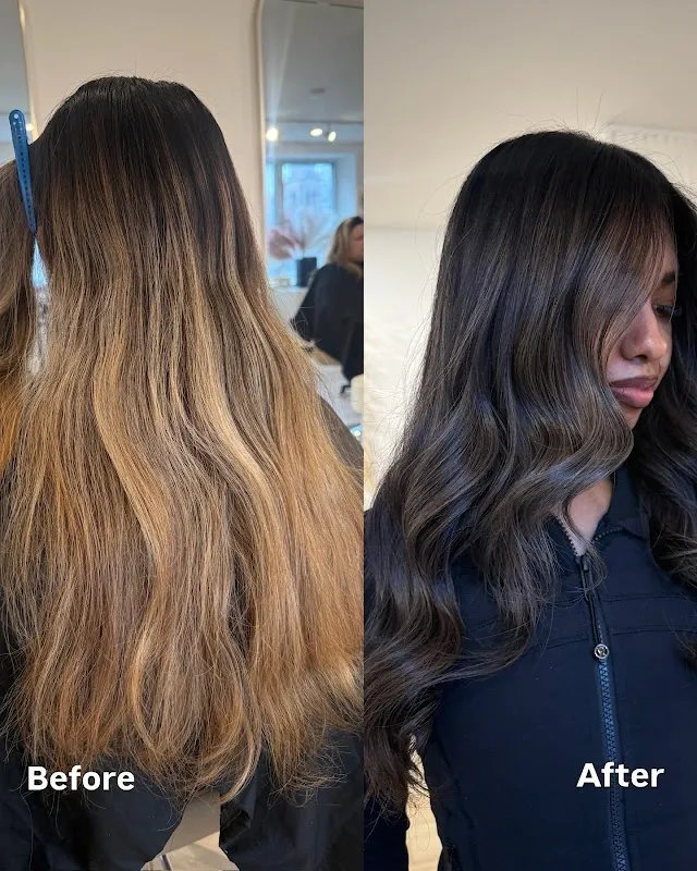 Palms Salon