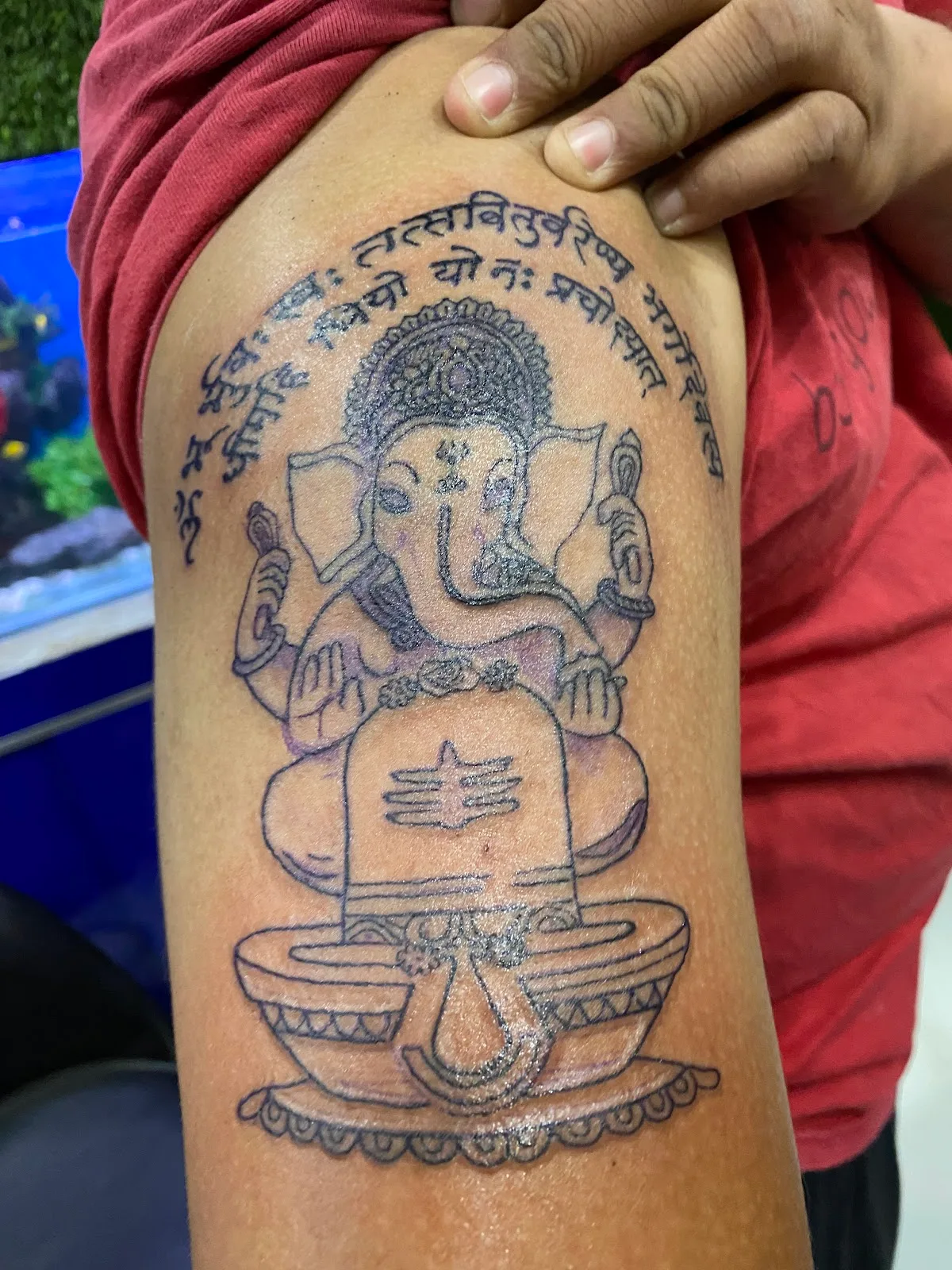 Tattoo Zone
