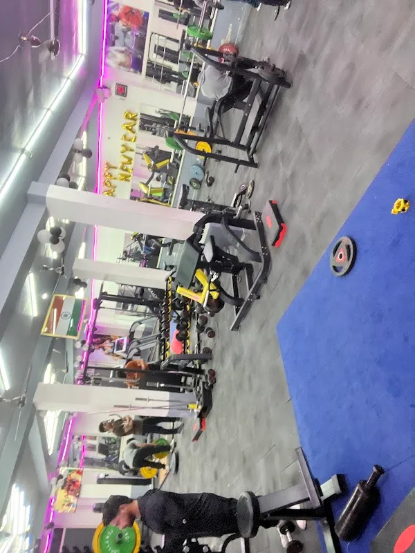 Pure Fit Gym