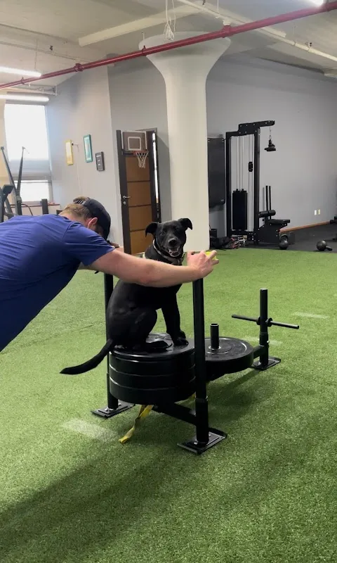 Nicely Fit Co.