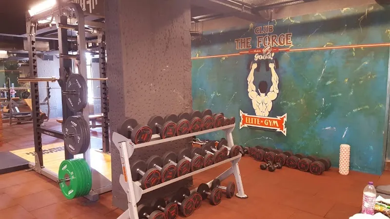 The Forge Fitness Club, Kolhapur | Best Gym in Kolhapur | Fitness centre in Kolhapur