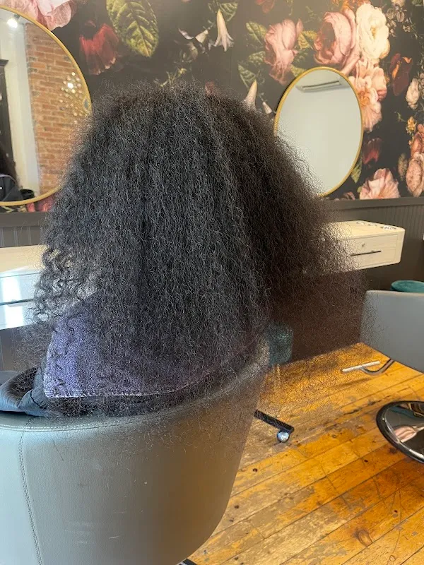 The Mane Haven - Stylist Olivia Joy, a Curly Hair Specialist