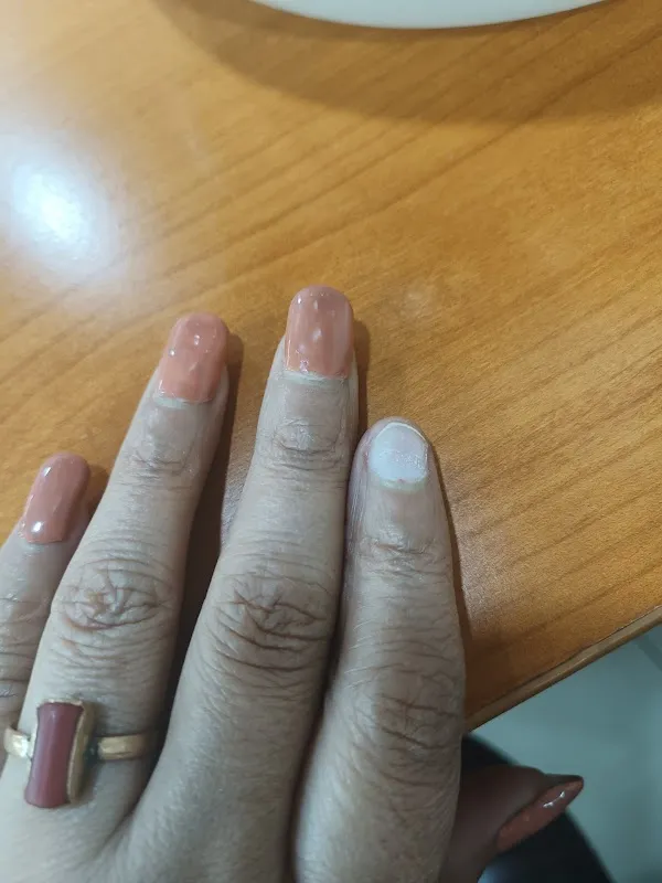 Lilli Beauty Salon