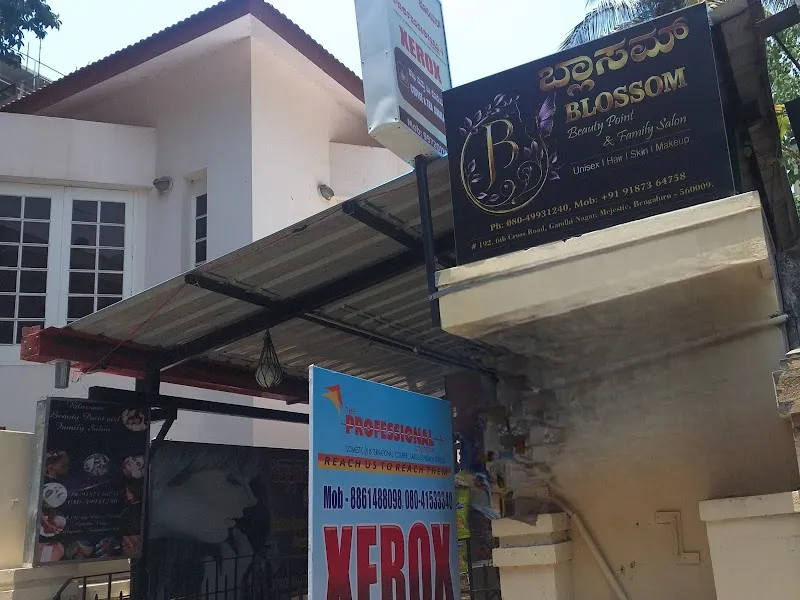 Blossom Beauty Point and Family Salon