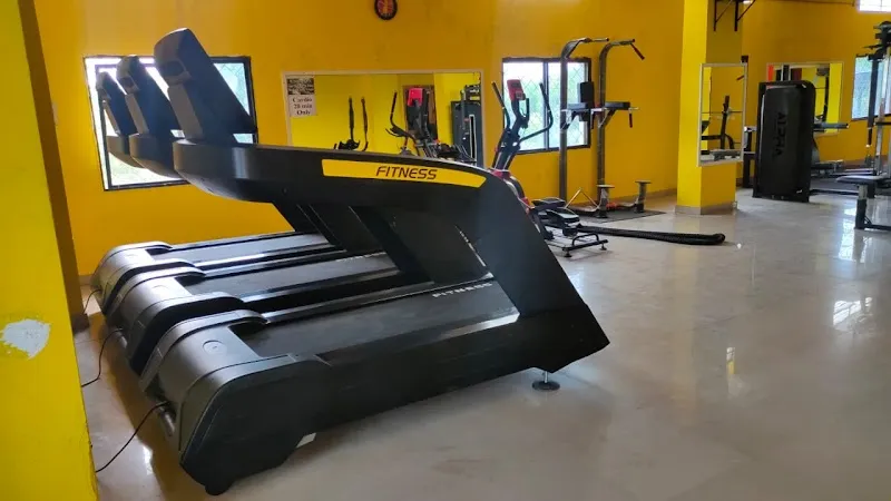 MS Fitness Hub