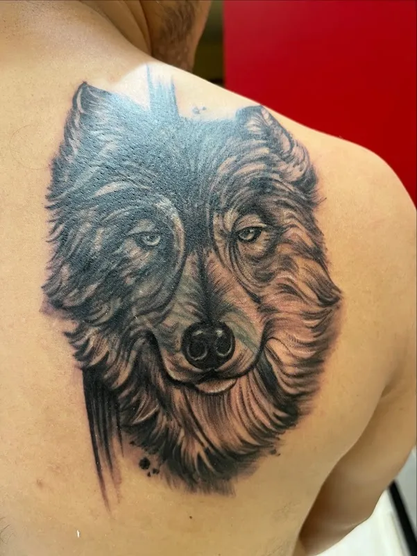 The Solar Tattoo