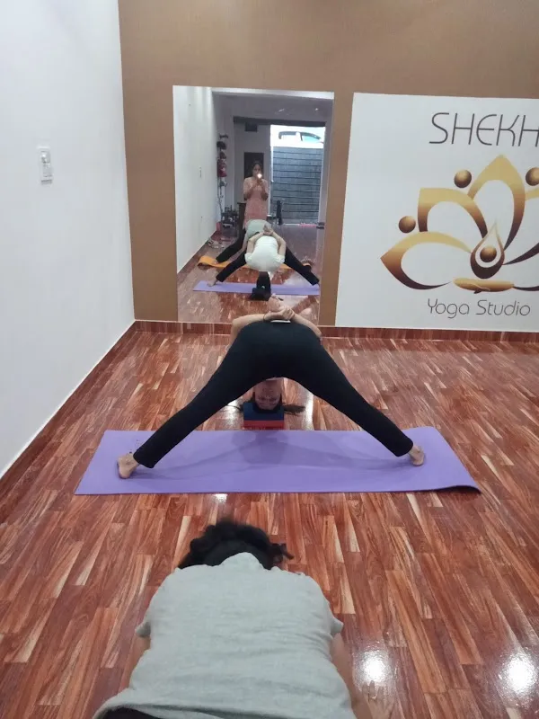 Shekhar yoga studio