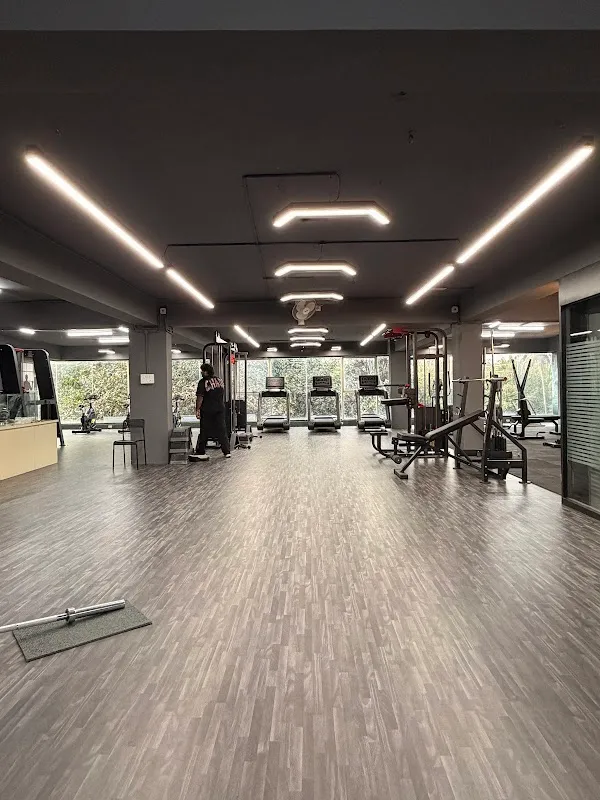 The Muscle Fab Gym