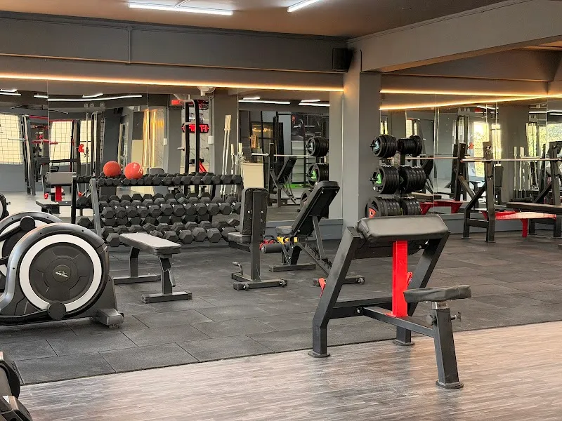 The Muscle Fab Gym