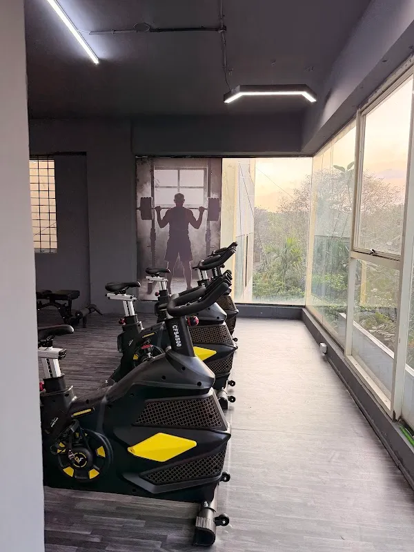 The Muscle Fab Gym