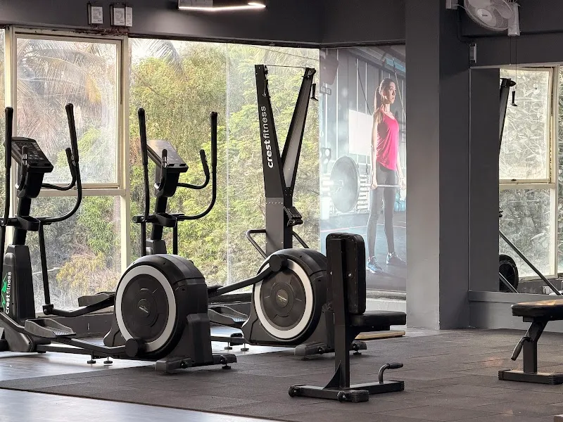 The Muscle Fab Gym