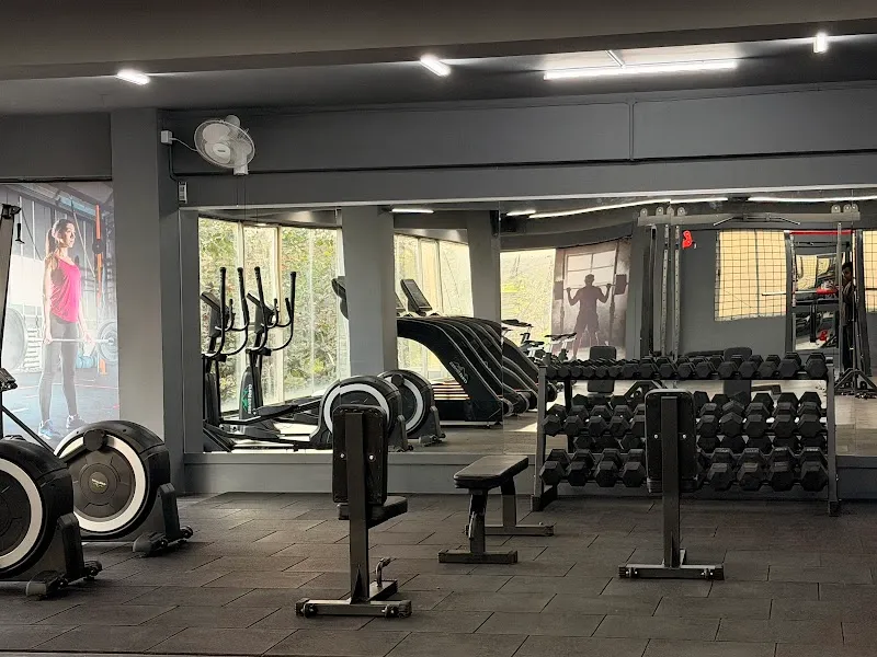 The Muscle Fab Gym