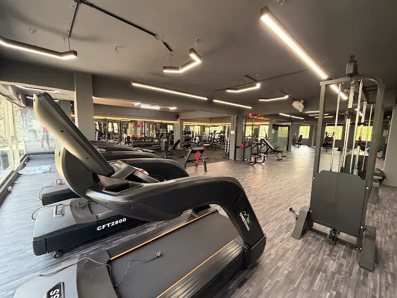 The Muscle Fab Gym
