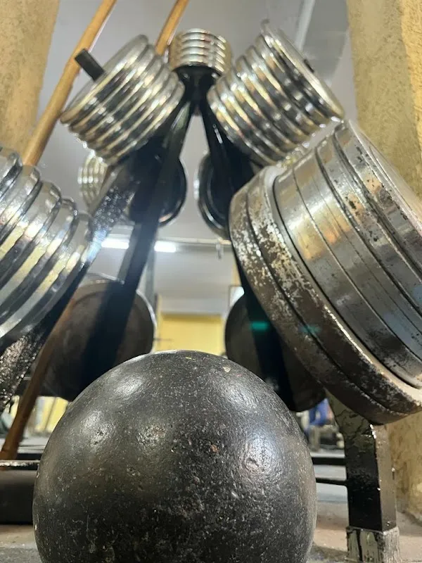 ACN POWER GYM