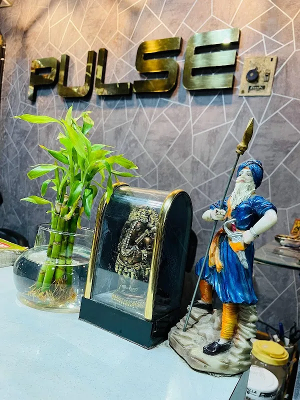 PULSE FITNESS | BEST GYM IN TILAK NAGAR