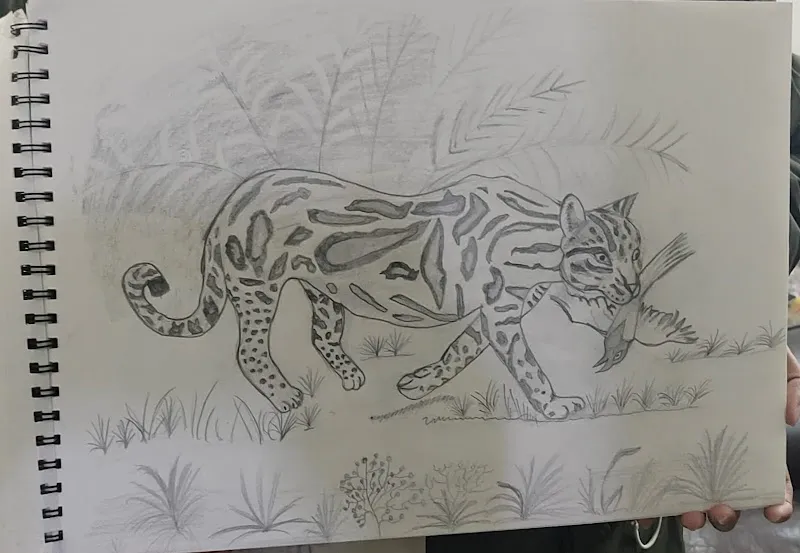 Kalarang Club (Drawing and Painting Classes )
