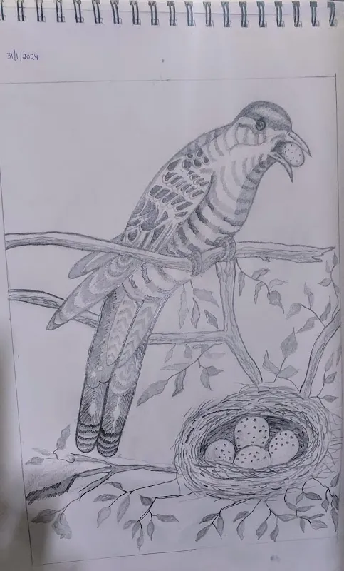 Kalarang Club (Drawing and Painting Classes )