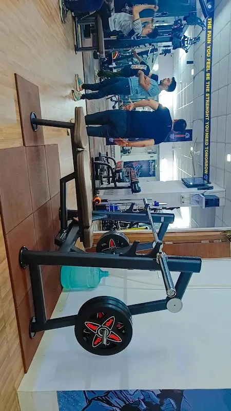 The fitking fitness gym
