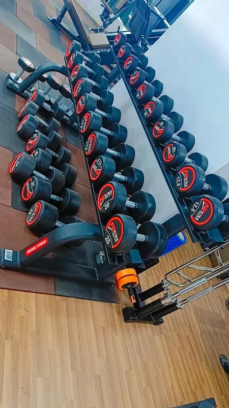 The fitking fitness gym