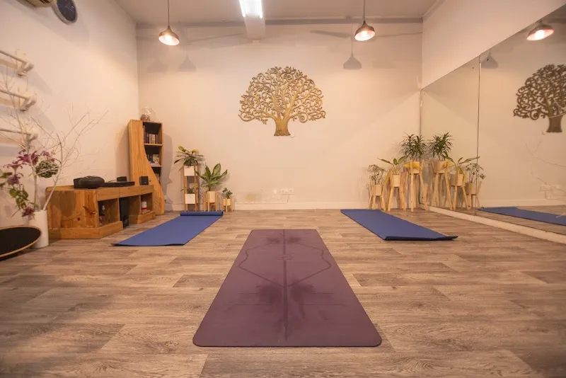 The Pink Lotus Academia- Yoga, Music and Dance