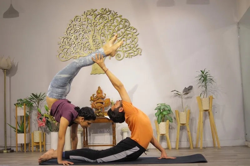 The Pink Lotus Academia- Yoga, Music and Dance